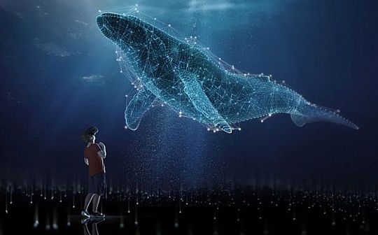 元宇宙vs数字孪生：技术演化的视角